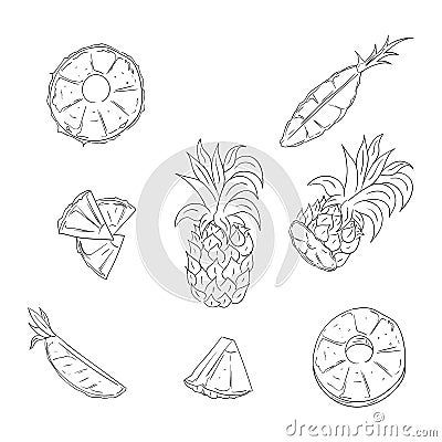 Pineapple, whole and sliced outline illustration set Vector Illustration