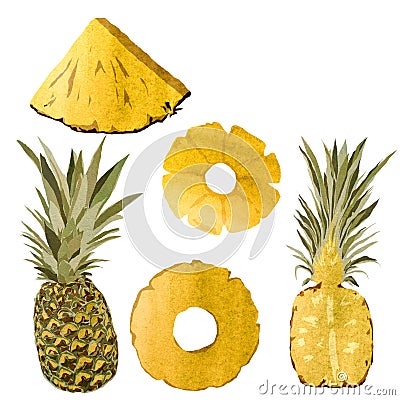 Pineapple yellow fruit half slice set watercolor Cartoon Illustration
