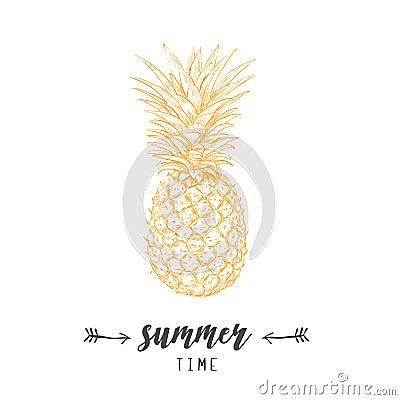 Pineapple yellow skech. Letitering summer Vector Illustration