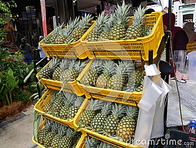Pineapples that have been picked are displayed for sale. Editorial Stock Photo