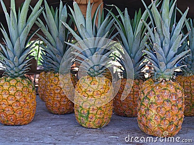 Pineapples at a Roadside Market in Hawaii Stock Photo