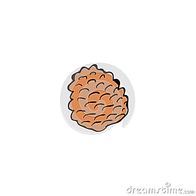 Pinecone Icon Vector pine Stock Photo