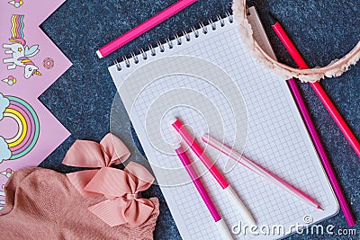 Pink accessories girl, notebook with pens, top view. Stock Photo