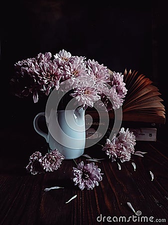 Pink aster in white vase with book in dark mood stillife Stock Photo