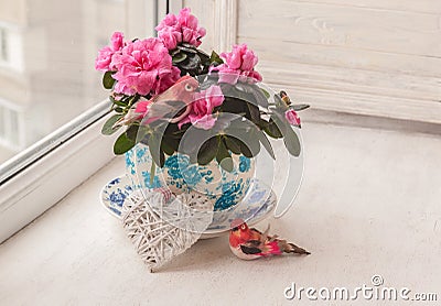 Pink azalea in a vintage pot on a window Stock Photo