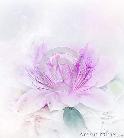 Pink Azalea Watercolor Stock Photo