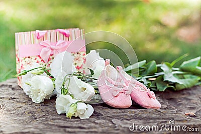 Pink baby booties and white flowers in the park. Pregnancy concept and a new life Stock Photo