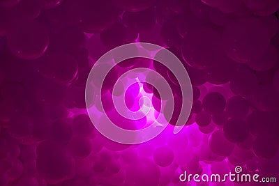 Pink background with flying balloons - clean design, 3d abstract realistic banner Stock Photo