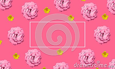 Pink background with pink and yellow flowers and text box. Stock Photo