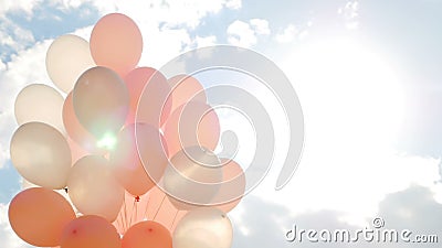 Pink balloons in a bundle stock video footage Pink balloons in a bundle stock video footage
