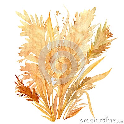 Pink and beige tropical leaves, a bouquet of dry plants on a white background, watercolor illustration in boho style Cartoon Illustration