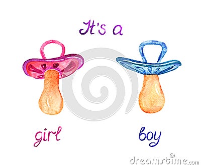 Pink and blue pacifier, isolated with inscription it`s a girl, boy Cartoon Illustration