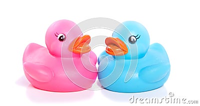 A pink and a blue plastic duck Stock Photo