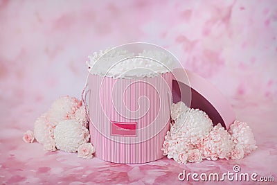 Pink box for flowers, white chrysanthemums on a pink background Stock Photo