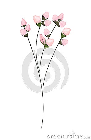 Pink buds flowers bouquet painting vector design Vector Illustration