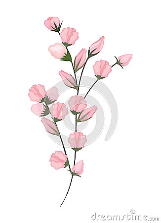 Pink buds flowers bouquet painting vector design Vector Illustration