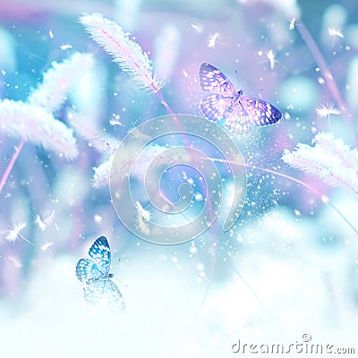 Pink butterflies in flight against the background of wild grass in the snow. Fabulous winter spring image. Magic garden. Winter wo Stock Photo