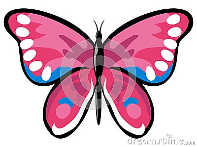 Pink butterfly Stock Photo