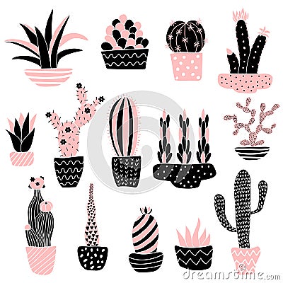 Pink cacti 2 in pots Vector Illustration