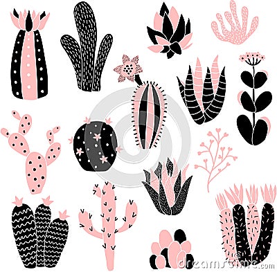 Pink cacti Vector Illustration