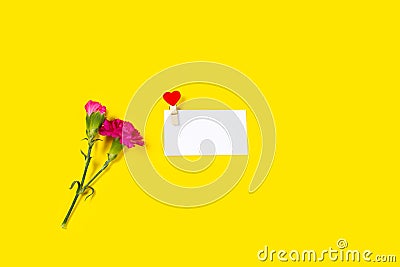 Pink carnation flowers with Blank Greeting Card on yellow background. Stock Photo