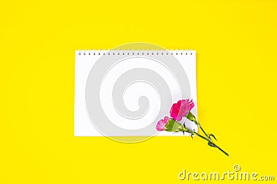 Pink carnation flowers with notebook on yellow background. Stock Photo