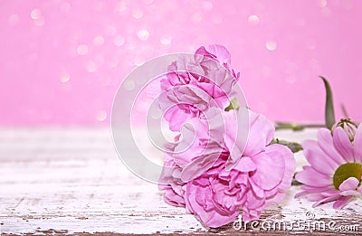 Pink Carnation flowers on rustic white wooden table. Stock Photo