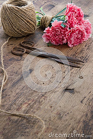 Pink carnation flowers with rusty antique scissors Stock Photo