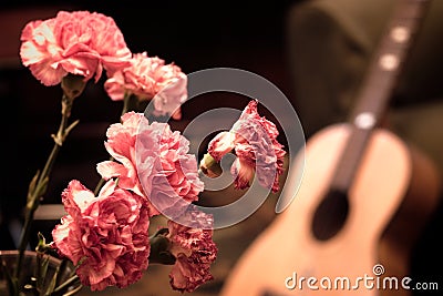 Pink carnations and guitar Stock Photo