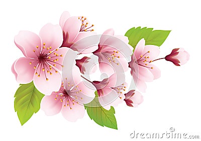 Pink Cherry Blossom Flower Branch Vector Illustration