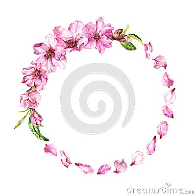 Pink cherry petals, sakura blossom, spring cherry flowers. Floral wreath. Watercolor round border Stock Photo