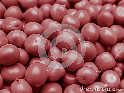 Pink colour peas Stock Photo