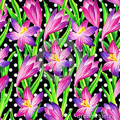 Pink crocus seamless pattern, hand paint watercolor illustration Cartoon Illustration