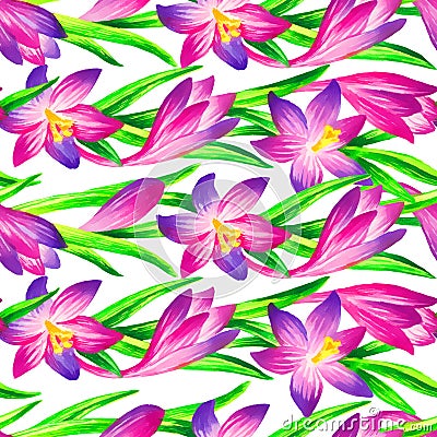 Pink crocus watercolor seamless pattern Cartoon Illustration