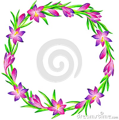 Pink crocus wreath, watercolor illustration Cartoon Illustration