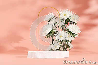 Pink 3D rendering illustration of common daisy vase and pink empty space podium display for product Cartoon Illustration