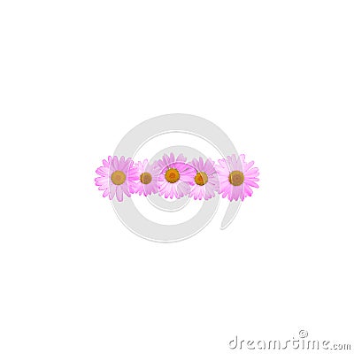 Pink Daisy Hyphen Mark Stock Photo