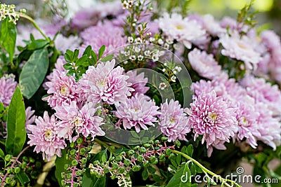 Pink and delicate flowers are collected in a lush bouquet, farm holidays. Stock Photo