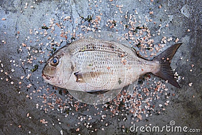 Pink Dorade on a metal surface with salt Stock Photo