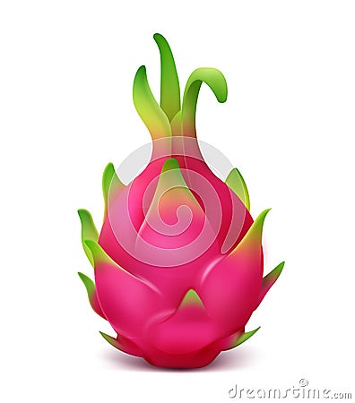 Pink dragon fruit Vector Illustration