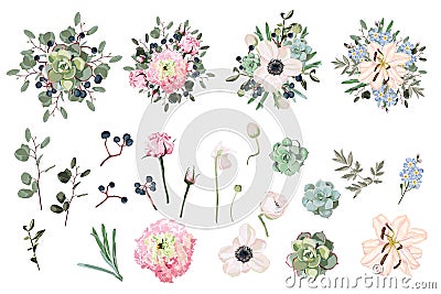 Summer holidays tropical elements: flowers and leaves. Vector set. Vector Illustration