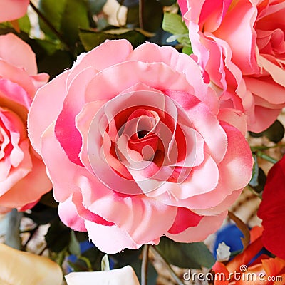 Pink fake rose flower Stock Photo