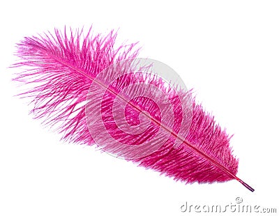 Pink feather Stock Photo