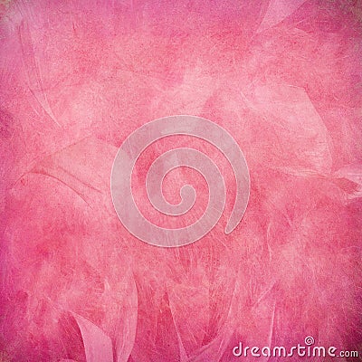 Pink feather abstract Stock Photo