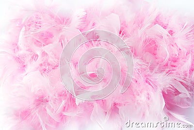 Pink feather boa Stock Photo