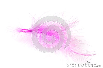Pink feather isolated Stock Photo