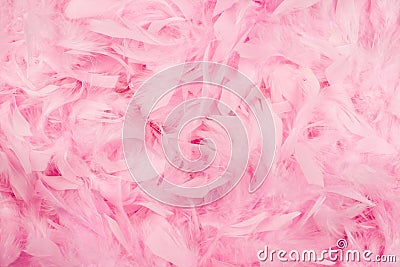 Pink feathers background Stock Photo