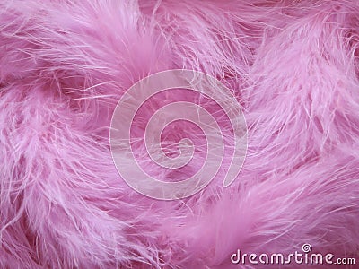 Pink Feathers Background - Stock photos Stock Photo