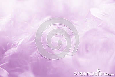 Pink Feathers Background - Stock photos Stock Photo
