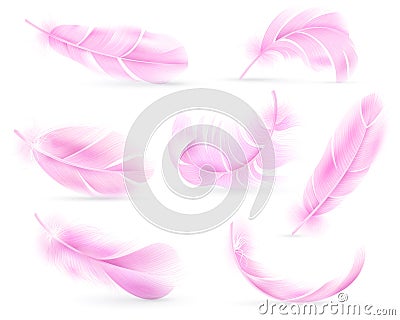 Pink feathers. Bird or angel feather, birds plumage. Flying fluff, falling fluffy twirled flamingo feathers. Realistic Vector Illustration